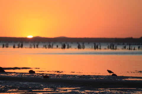 Ambience - Great Ocean Road Tourism 35