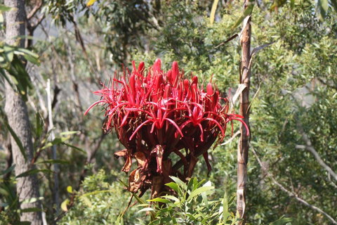 Ambience - Great Ocean Road Tourism 30