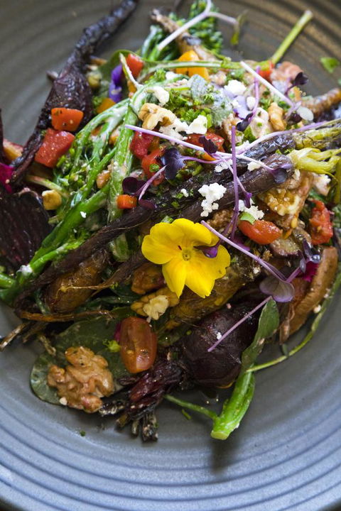 Sage Hotel Wollongong - Great Ocean Road Tourism 21