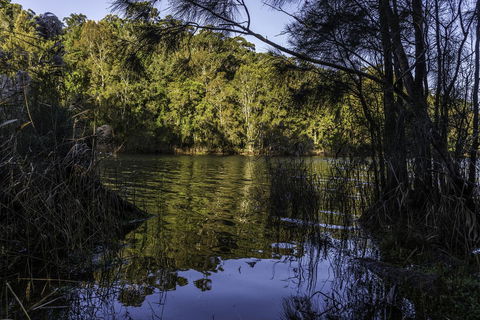 The Outlook Cabana - Great Ocean Road Tourism 21