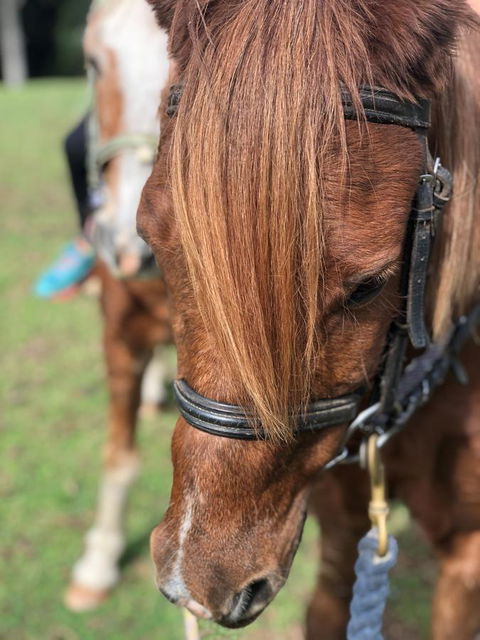 The Outlook Cabana - Great Ocean Road Tourism 17