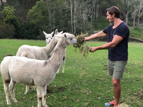 The Outlook Cabana - Great Ocean Road Tourism 20