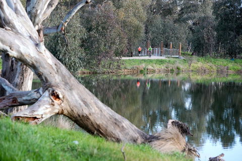 Mercure Albury - Great Ocean Road Tourism 15