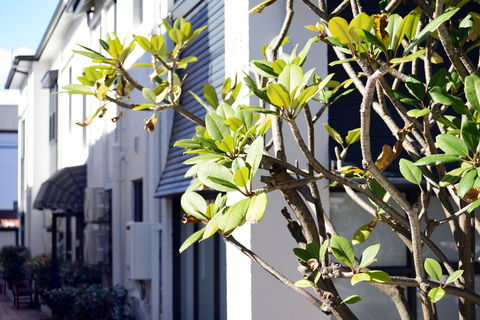 Avoca Randwick By Sydney Lodges - Great Ocean Road Tourism 34