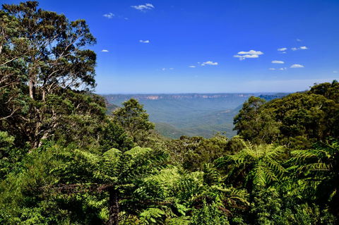 Dangal Gardens - Great Ocean Road Tourism 28
