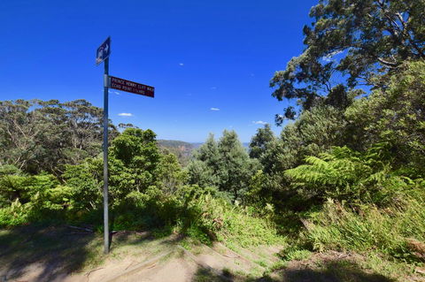 Dangal Gardens - Great Ocean Road Tourism 30