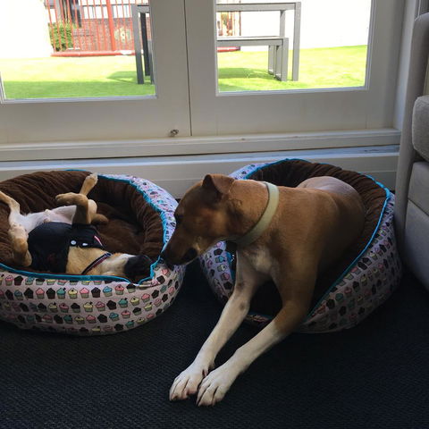 The Ultimo - Great Ocean Road Tourism 5