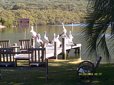 Pelican H2O One & Two Bedroom Apartments - Great Ocean Road Tourism 9