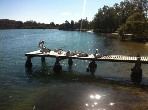 Pelican H2O One & Two Bedroom Apartments - Great Ocean Road Tourism 5