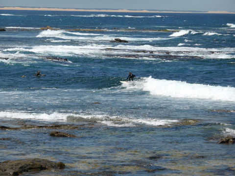 Arena Luxury Beachfront Apartment - Great Ocean Road Tourism 26