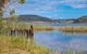 Cabarita Lake Apartments - thumb 11