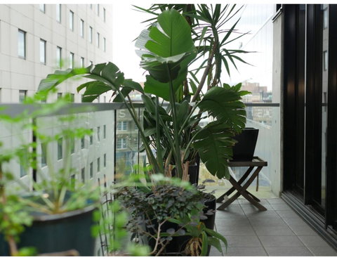 Urban Loft Close To Sydney Hot Spots - Great Ocean Road Tourism 11