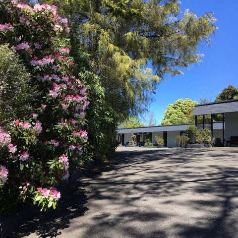 Sky Rider Motor Inn - Great Ocean Road Tourism 24