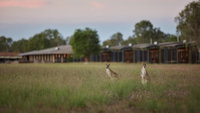 Book Point Stuart Accommodation Vacations Great Ocean Road Tourism Great Ocean Road Tourism