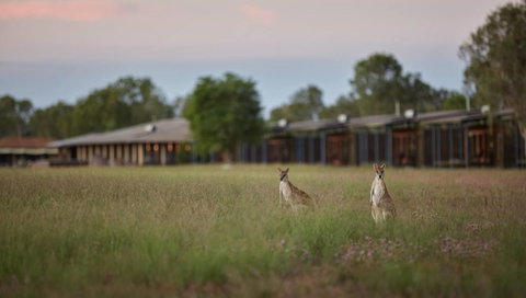 Wildman Wilderness Lodge - Great Ocean Road Tourism 0