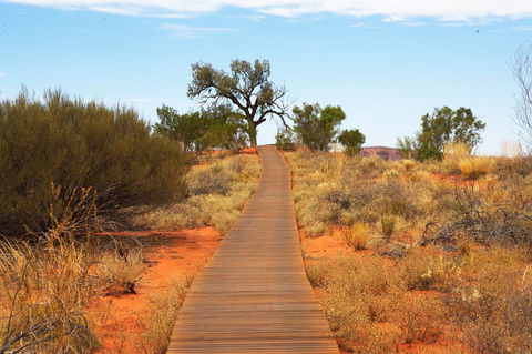 Discovery Resorts - Kings Canyon - Great Ocean Road Tourism 27