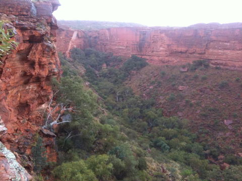 Discovery Resorts - Kings Canyon - Great Ocean Road Tourism 34