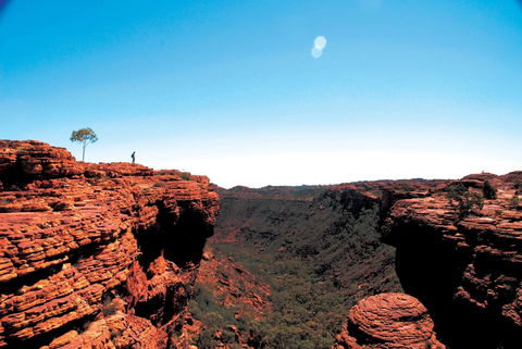Discovery Resorts - Kings Canyon - Great Ocean Road Tourism 38