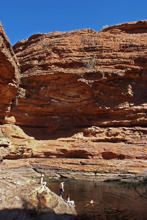 Discovery Resorts - Kings Canyon - Great Ocean Road Tourism 44