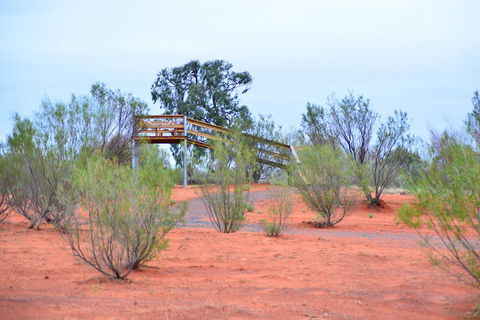 Erldunda Desert Oaks Resort - Great Ocean Road Tourism 42