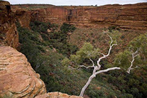 Kings Creek Station - Great Ocean Road Tourism 15