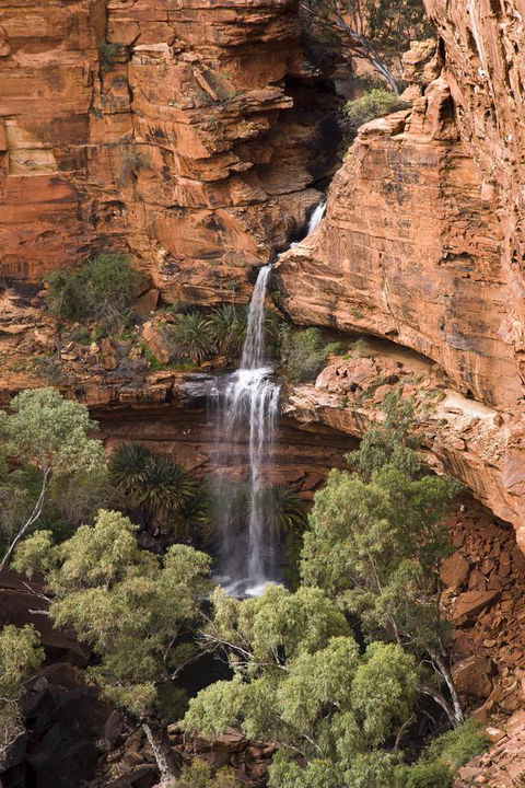 Kings Creek Station - Great Ocean Road Tourism 0