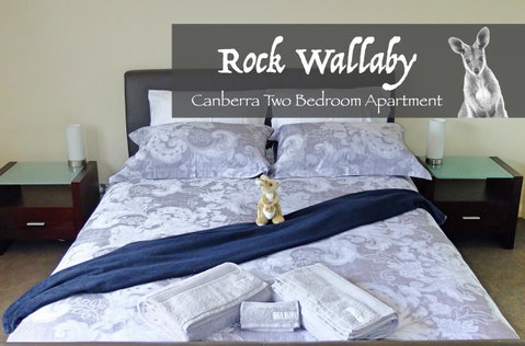 Rock Wallaby - Great Ocean Road Tourism 4