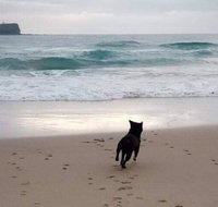 Breakers at Mudjimba Beach - Great Ocean Road Tourism