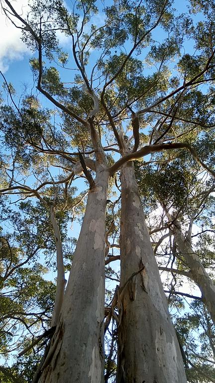 Broxholme B&B - Great Ocean Road Tourism 3