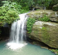 Buderim Forest Hideaway