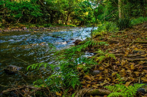 Cairns Homestead: A Peaceful Getaway - Great Ocean Road Tourism 3