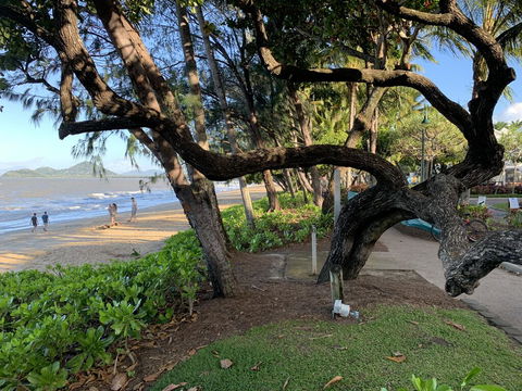 Cairns Palm Cove Studio - Great Ocean Road Tourism 3