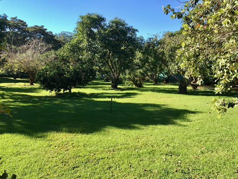 Camelot Cottages - Great Ocean Road Tourism 2