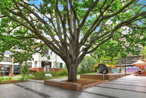 Canberra Luxury Apartment 8 - Great Ocean Road Tourism 1