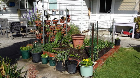 Carisbrook Cottage Queenscliff - Great Ocean Road Tourism 1