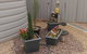 Chrissie's Dongara - thumb 2