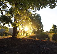 Clarendon Forest Retreat - Great Ocean Road Tourism