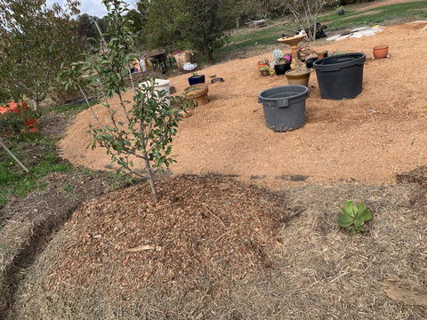 Creative 3D Sculpture Share - Great Ocean Road Tourism 1