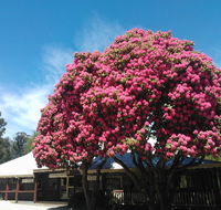 Crossways Country Inn - Great Ocean Road Tourism