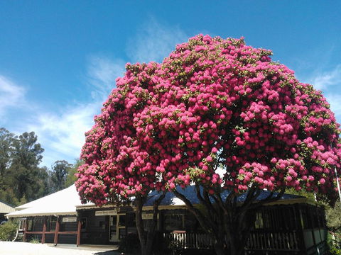 Crossways Country Inn - Great Ocean Road Tourism 0
