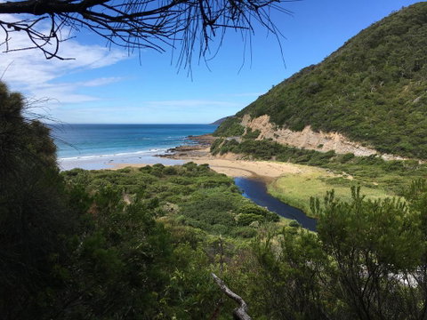Cumberland River Holiday Park - Great Ocean Road Tourism 3