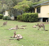 Depot Beach Cabins - Great Ocean Road Tourism