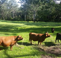 Dingley Dell - Great Ocean Road Tourism