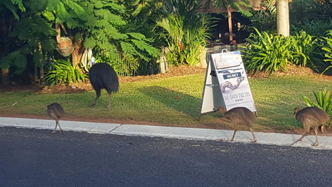 Driftwood Bed And Breakfast - Great Ocean Road Tourism 1
