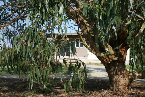 Driftwood Villas - Great Ocean Road Tourism 3