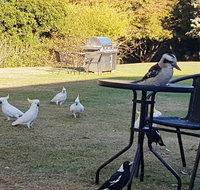 Eildon Parkview Motor Inn - Great Ocean Road Tourism