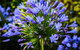 Elfin Hill Vineyard Accommodation - thumb 1