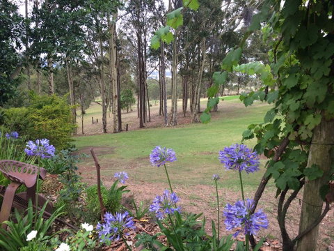 Elfin Hill Vineyard Accommodation - Great Ocean Road Tourism 2