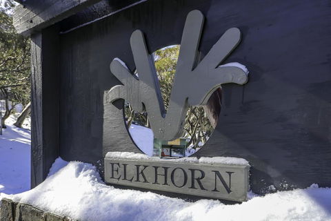 Elkhorn 11 - Great Ocean Road Tourism 2