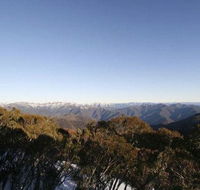 Elkhorn 7 - Great Ocean Road Tourism